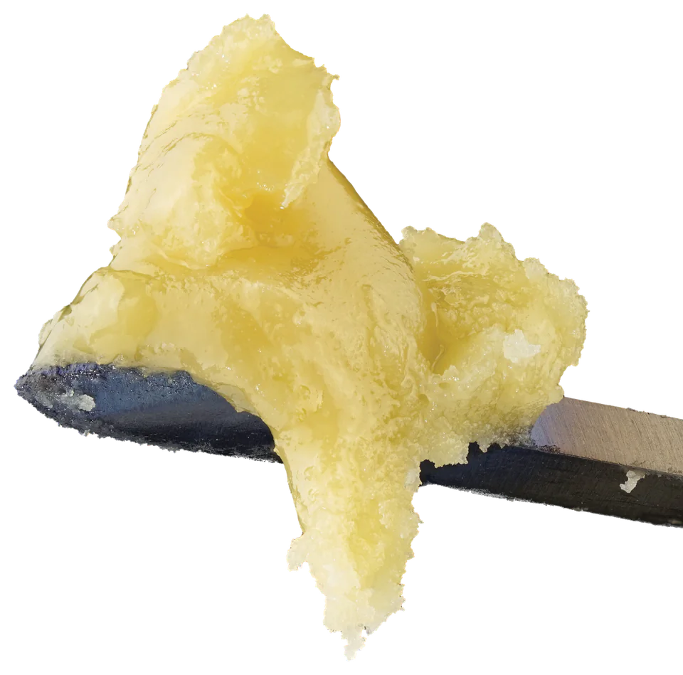 Gemelo hash rosin, whipped, on a dab tool.